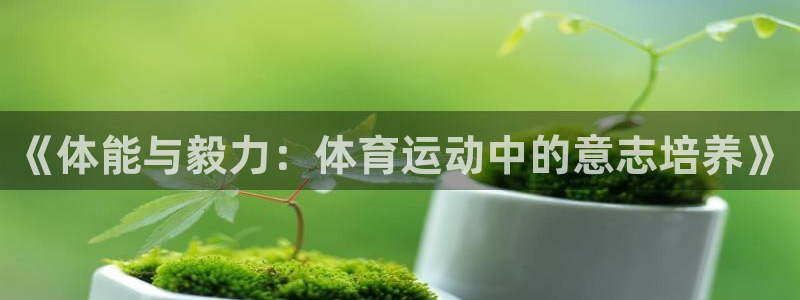 帮k1体育在线登录：《体能与毅力：体育运动中的意志培养》