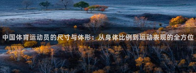 k1体育 十年品牌：中国体育运动员的尺寸与体形：从身体比例到运动表现的全方位