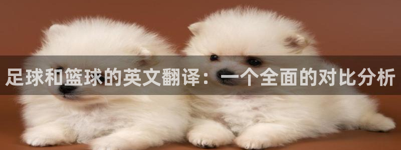k1体育棋牌：足球和篮球的英文翻译：一个全面的对比分析