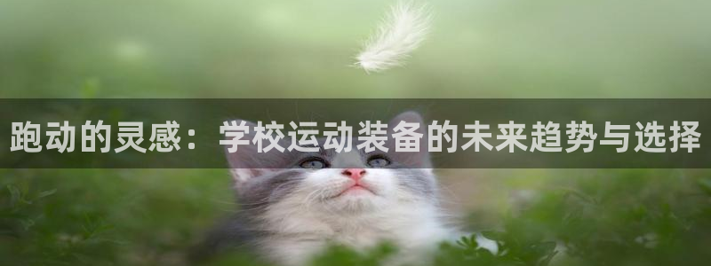 k1体育娱乐：跑动的灵感：学校运动装备的未来趋势与选择