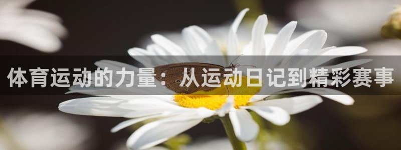 k1体育棋牌网址：体育运动的力量：从运动日记到精彩赛事