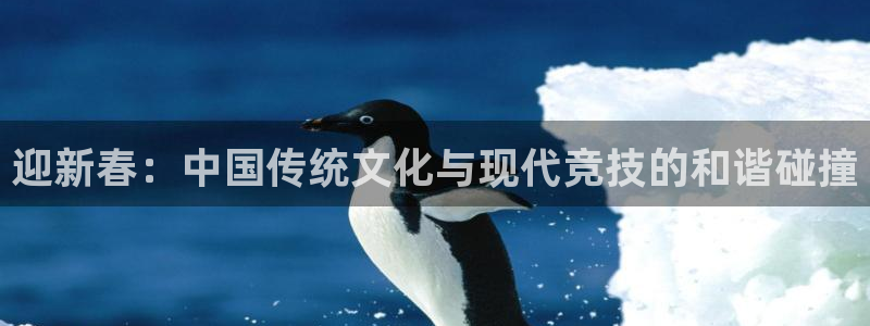 帮k1体育在线登录：迎新春：中国传统文化与现代竞技的和谐碰撞