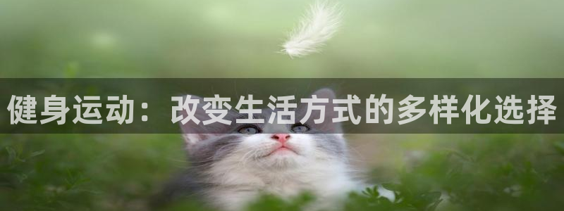 k1体育链接多少：健身运动：改变生活方式的多样化选择