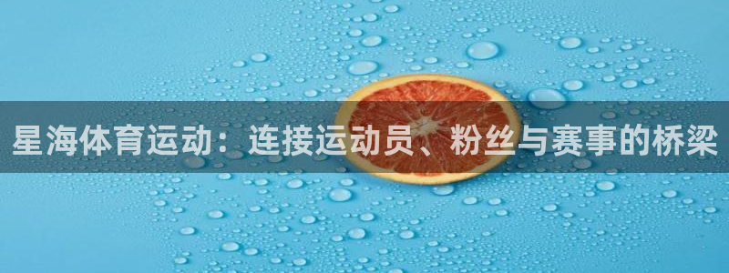 k1体育app下载链接：星海体育运动：连接运动员、粉丝与赛事的桥梁